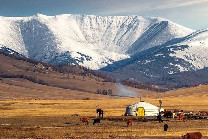 心归草原 满洲里·穿越草原与游牧时光