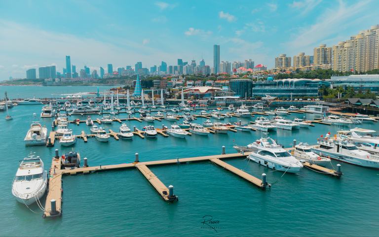 青岛海岸 · 乘风逐浪 奢享海鲜盛宴